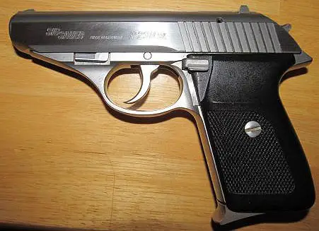 A 380 Gun