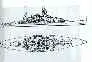 The German battleship Gneisenau
