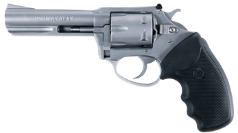 review of charter arms pathfinder .22